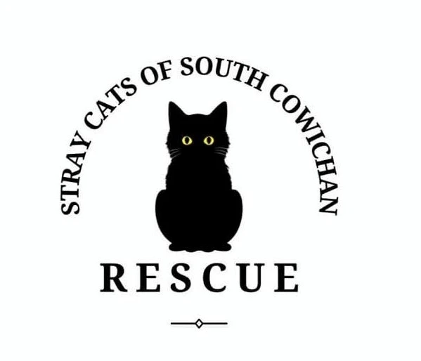 Stray Cats of South Cowichan
