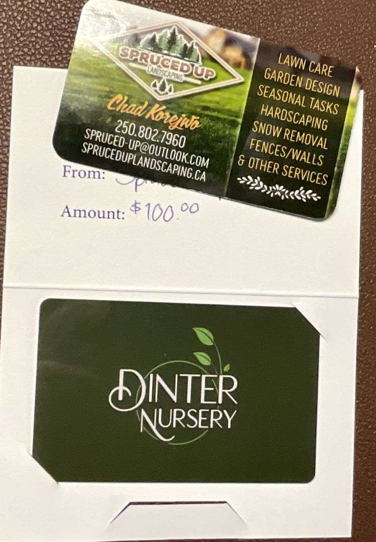 $100 DInter Gift Card