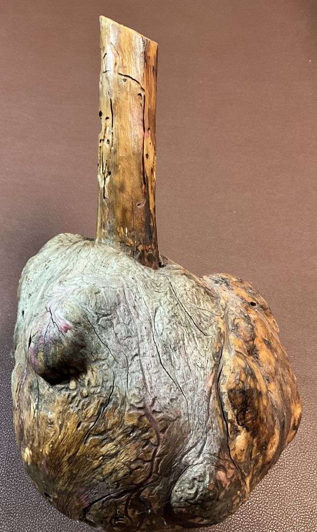 Exotic Wood Knot from Becckman's Handicrafts - Jasper