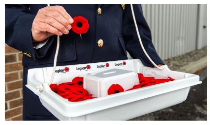 Poppy Taggers Needed