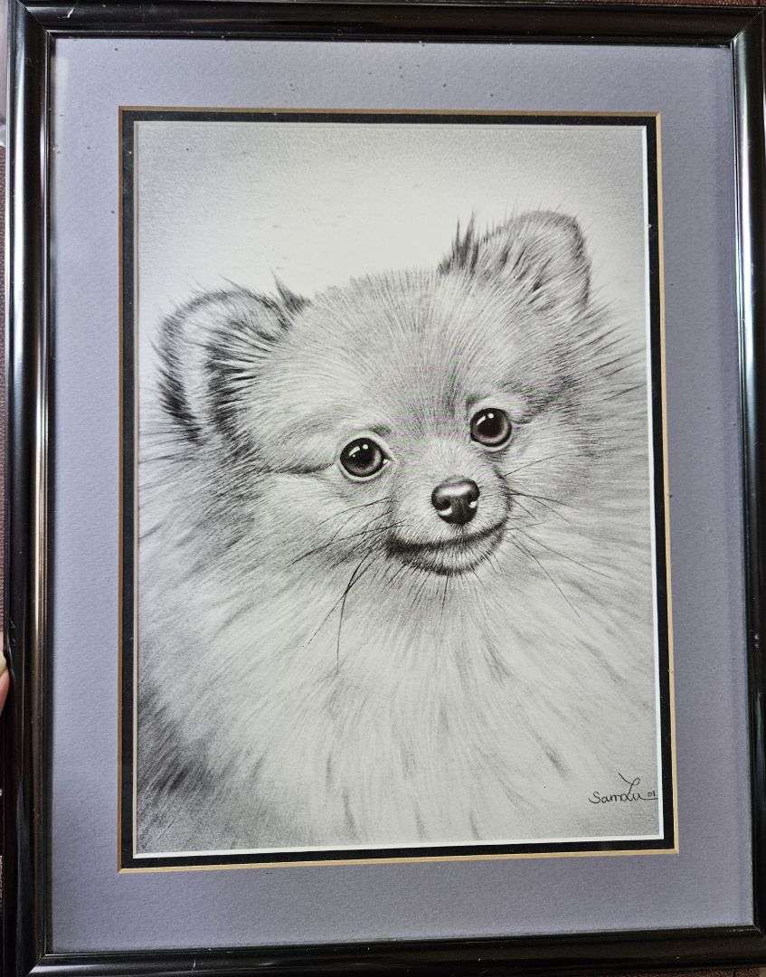 Sam Liu Framed B&W Print
